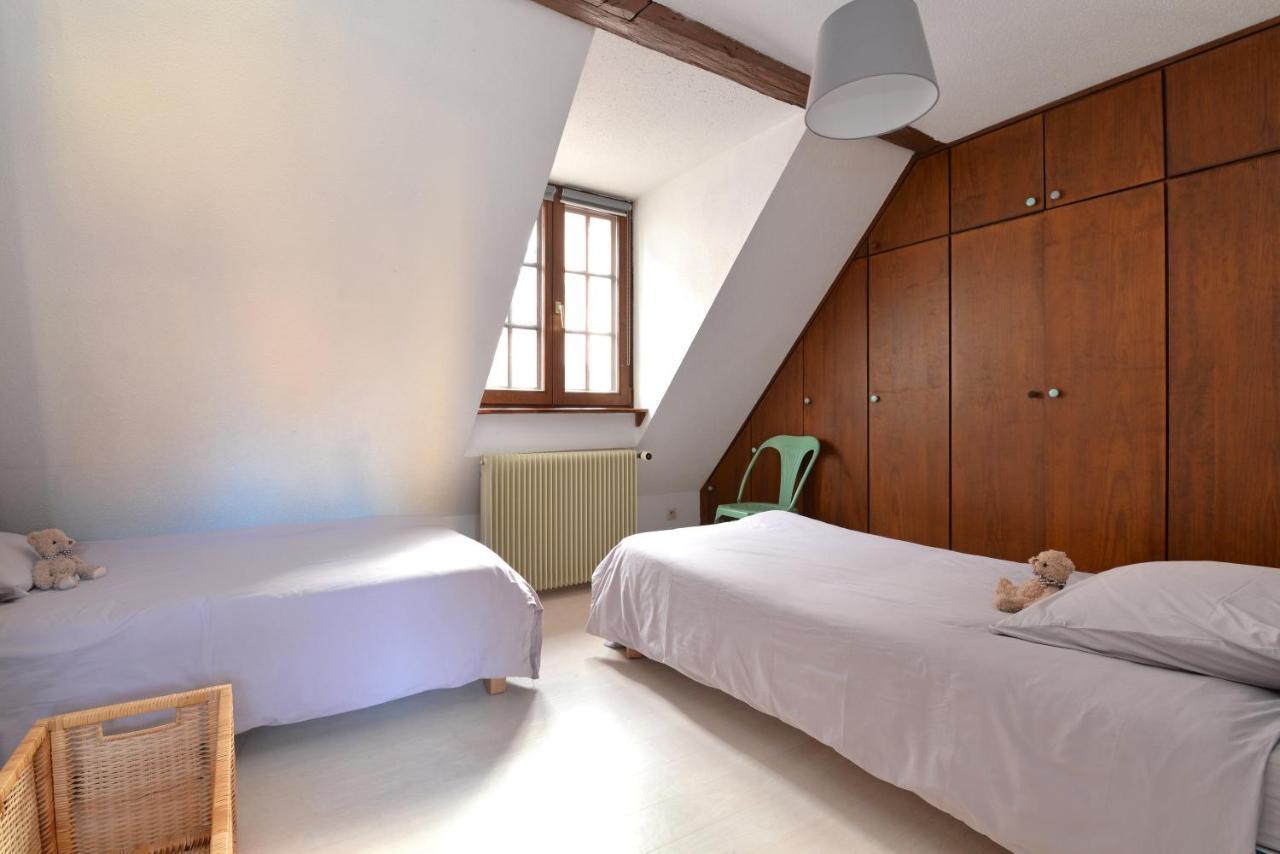 Appartement La Grande Terrasse Du Centre Colmar Bagian luar foto
